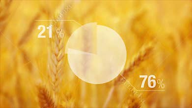 Animated Chart For Wheat Yield in Agricultural cultivated field