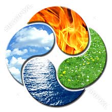 Yin Yang 4 Elements floral