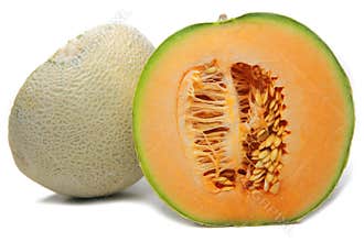 Cantaloupe 2