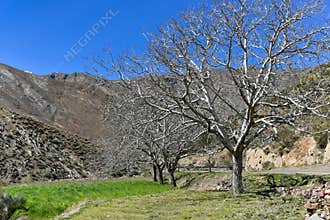 Morocco nature early spring
