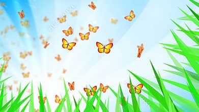 Butterflies