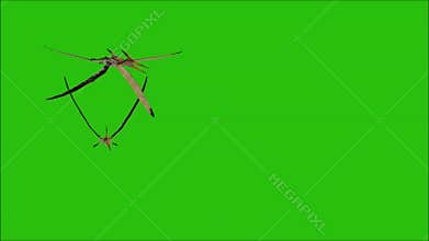 Pteranodon Movie
