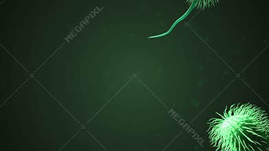 Swimming bacteria