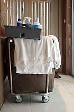 Professional house cleaning cart