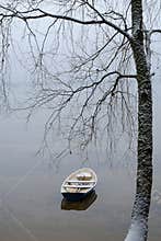 Boat at the shore
