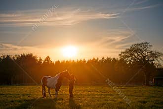 Girl Cuddling Horse at Sunset