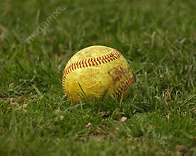 Softball / Ball