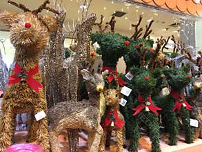 Christmas Reindeer For Sale