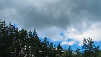 Clouds in the sky moving above the trees