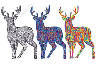 Deer colorful color