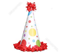 Birthday Celebration Hat