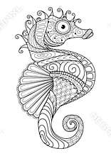 Hand drawn sea horse zentangle style for coloring page,t shirt design effect,logo tattoo and so on.