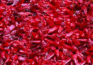 Closeup of Red Chili Peppers