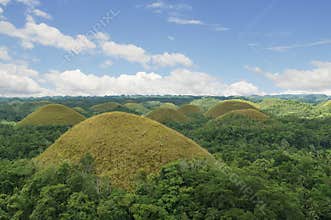 Chocolate Hills