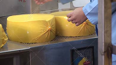 Plant for the production of cheese. cheese packaging
