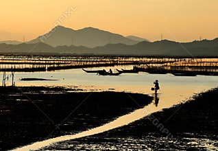 Beach at dusk