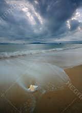 Shell on a beach