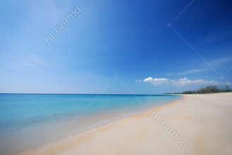 the beach :)