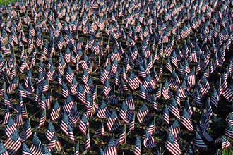 American Flags in Honor of Our Veterans