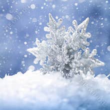 Beauty holidays backgrounds with snow flake