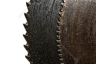 Old rusty saw blade