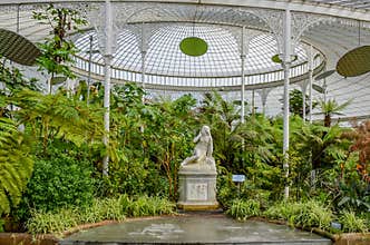 Glasgow Botanic Gardens, plants, garden, Scotland