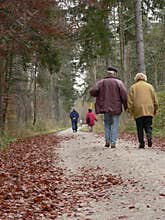 Old people walking outdoor