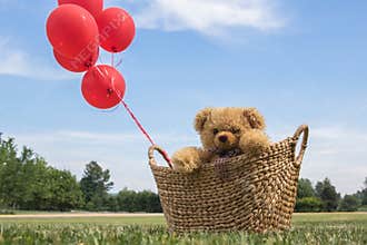 Toy Teddy Bear in a Basket with Red Balloons