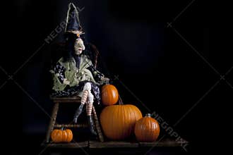 Halloween Gypsy Witch