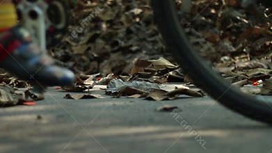 Cycling on the road through the autumn