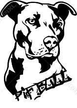 Pit bull dog illustration