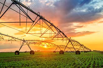 Automated farming irrigation system in sunset