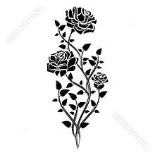 Ornament of roses. Decorative Floral design elements. Vector