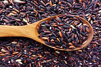 Berry rice