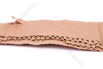 Cardboard