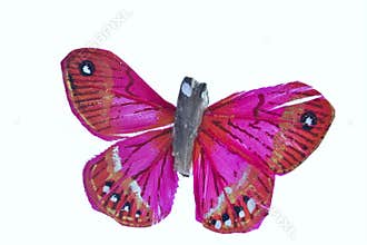 Pink butterfly