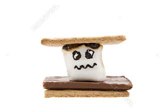 Worried Marshmallow in a Smore