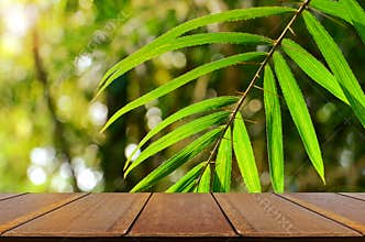 Outdoor picnic background.