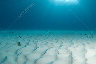 Tiger Beach Seascape