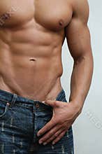 Muscular Male Torso