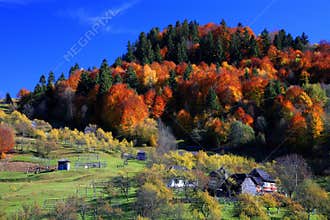 Maramures landscape