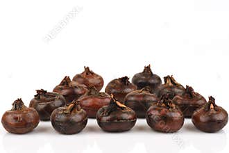 Ground chesnut, Chinese water chestnuts fruits of thailand.