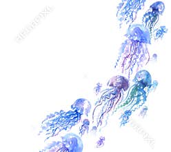 Isolated jellyfish groop watercolor illustration.