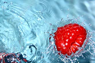 Fresh raspberry.