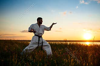 Silhouette of sportive man training karate in field at sunrise.