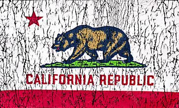 State of California Flag