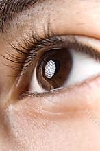 Human eye