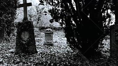 Old abandoned cemetery. Black and white video.