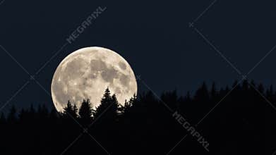 Full moon rising over forest time lapse. Closeup detail of fullmoon. Two in one sequence.