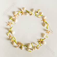 Circle frame background from summer elements - seashell, starfishes, flowers